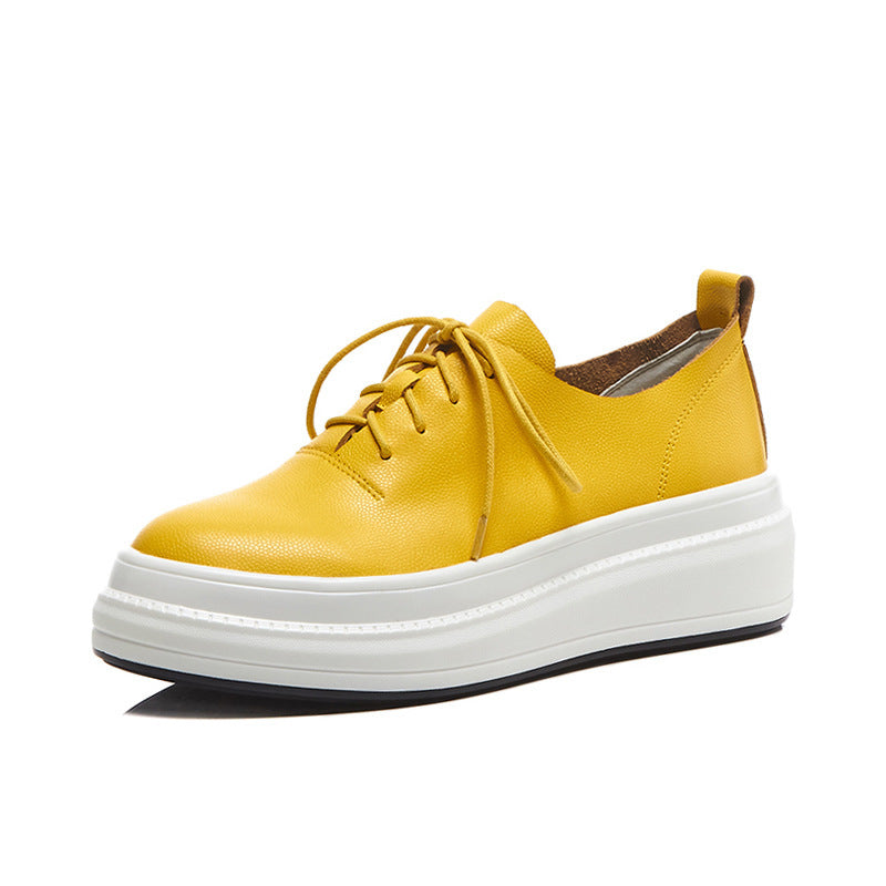 Oxford V10 Sneakers Dam